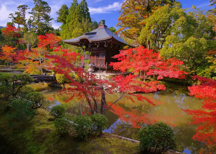 Japanese Gardens