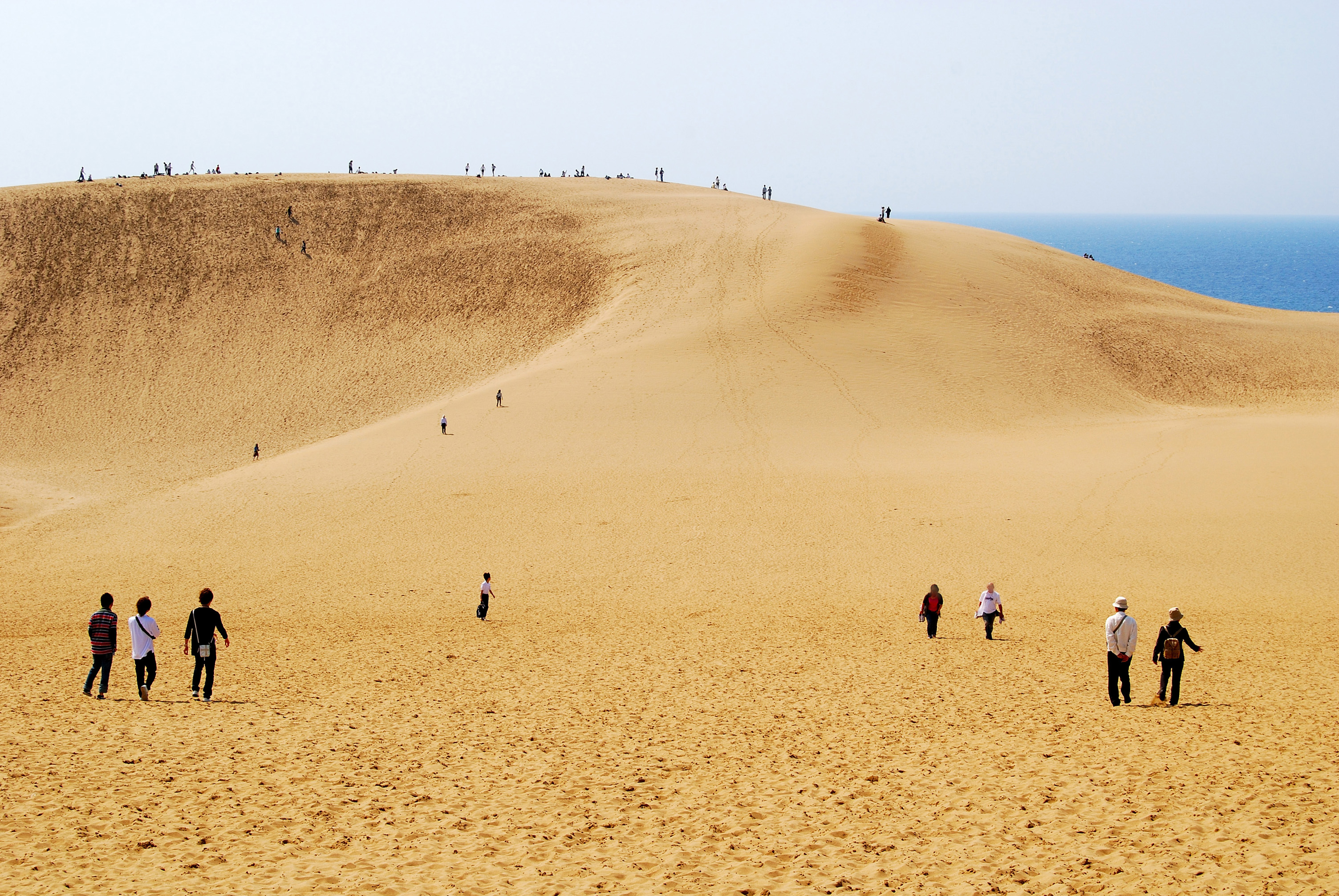 Tottori Dunes